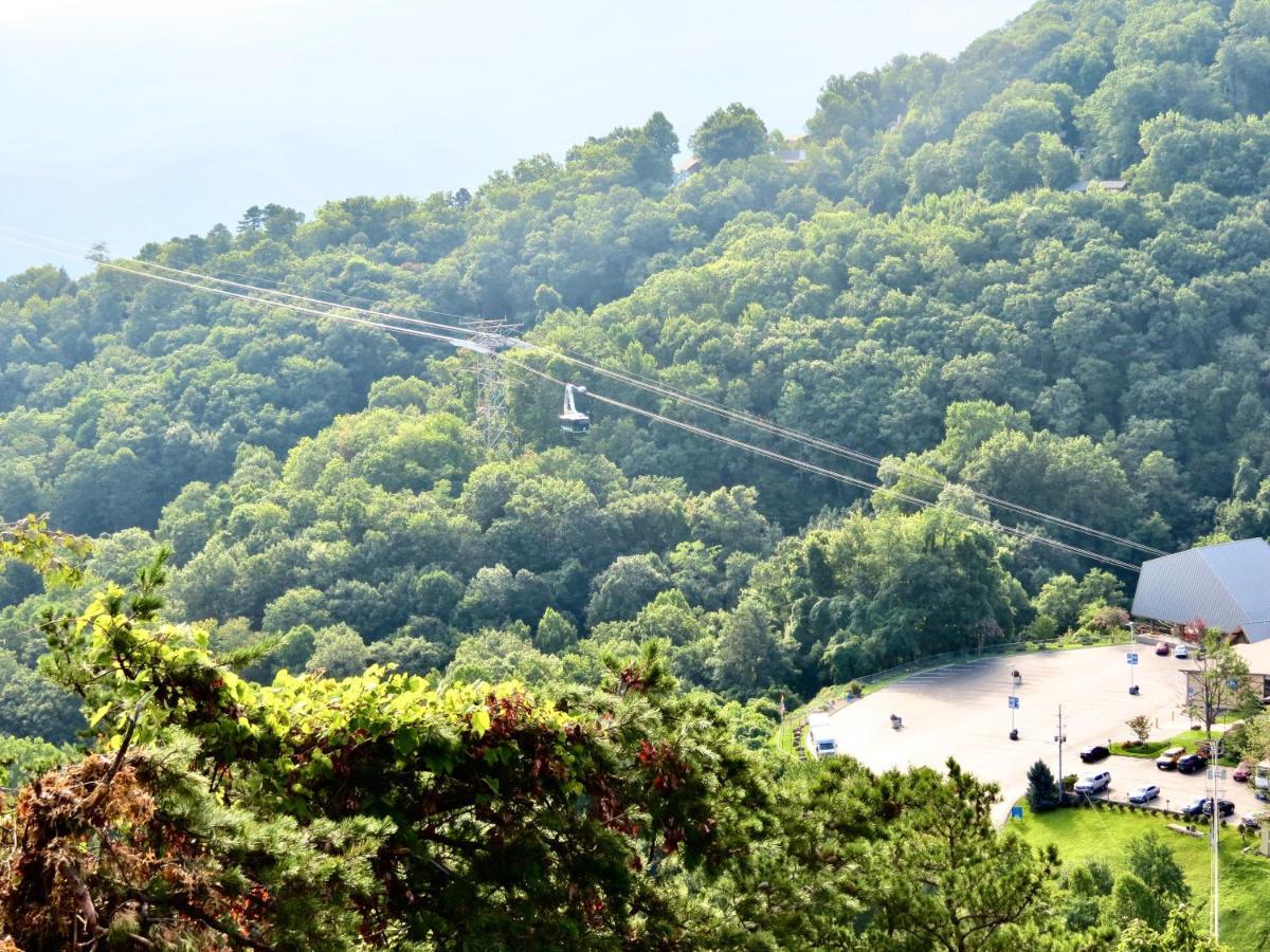 Million Dollar Views! 4 Bedroom, Sleeps 9, Close To National Park And 5 Mi To Gatlinburg! Exterior foto